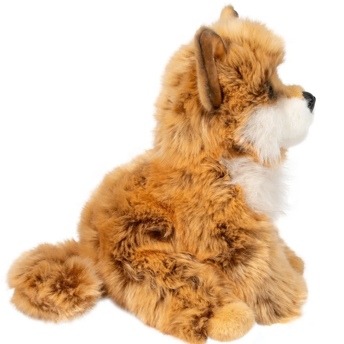 Best Douglas Toys Dove Pomsky