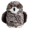 Sale Douglas Toys Shrill Saw-Whet Owl