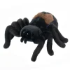 Sale Douglas Toys Sneakie Soft Spider