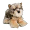 Fashion Douglas Toys Yettie Yorkie